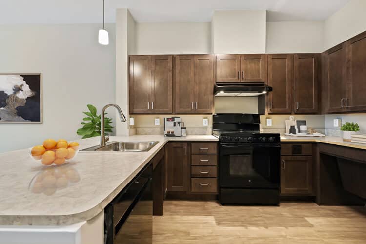 1A Accessible Kitchen with Furnishings